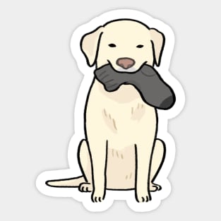 Labrador dog eating sock Sticker